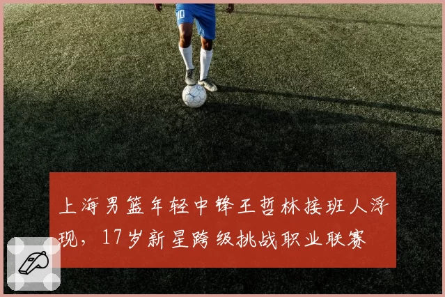 上海男篮年轻中锋王哲林接班人浮现，17岁新星跨级挑战职业联赛