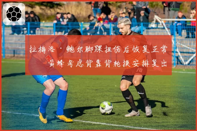 拉梅洛·鲍尔脚踝扭伤后恢复正常,黄蜂考虑背靠背轮换安排复出