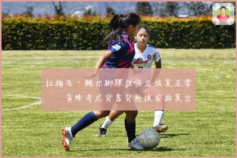 拉梅洛·鲍尔脚踝扭伤后恢复正常,黄蜂考虑背靠背轮换安排复出